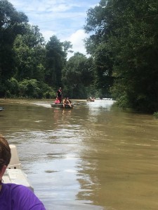 The Cajun Navy